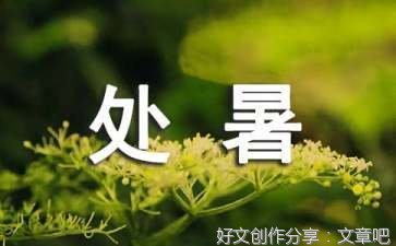 其他的优美句子