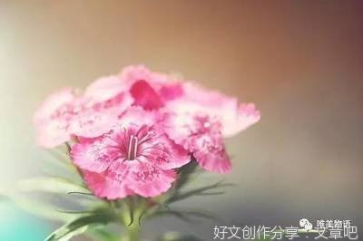 关于真理的优美句子