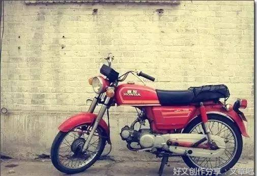 《骑有此理》的观后感大全