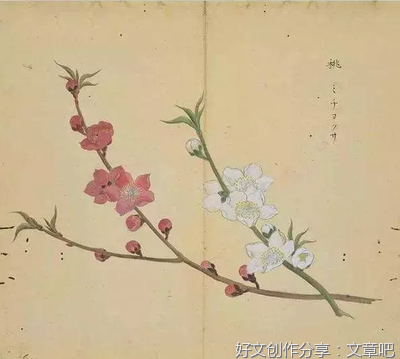《我思古人》的句子