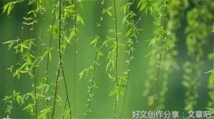 《南怀瑾》的句子
