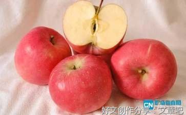 鸟·蛙（插图珍藏版）读后感锦集
