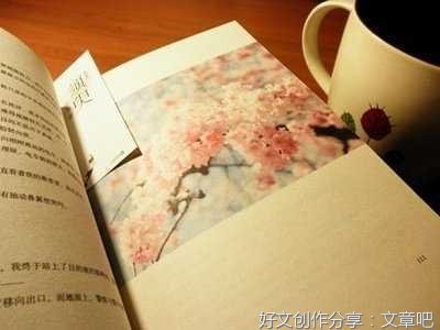 我心悦你.♡优美的句子