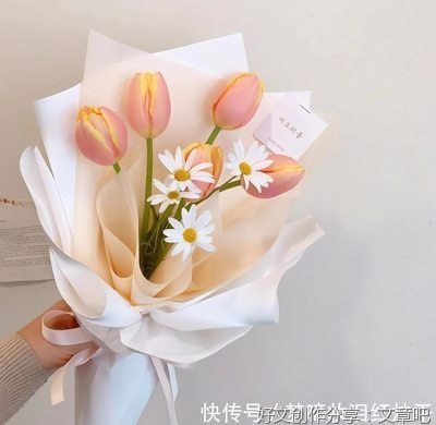 张小娴的优美句子