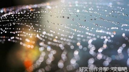 关于达尔文的句子