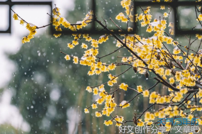 问九天优美的句子