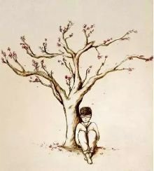 三毛的句子