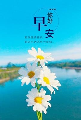 美好句子大全