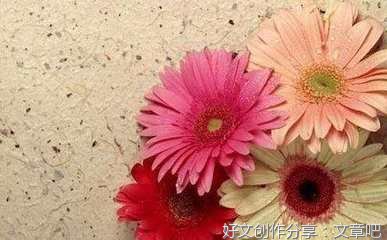 关于♚的优美句子