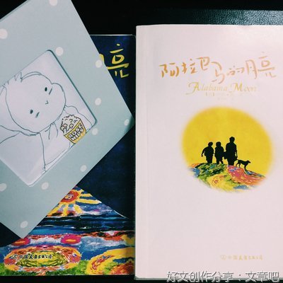 我是月亮读后感100字