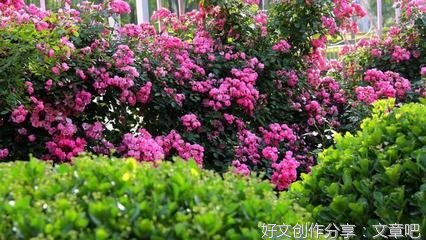 生活有感名句欣赏