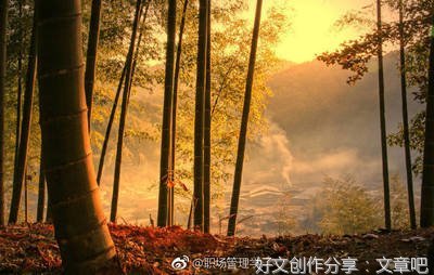 归来优美的句子