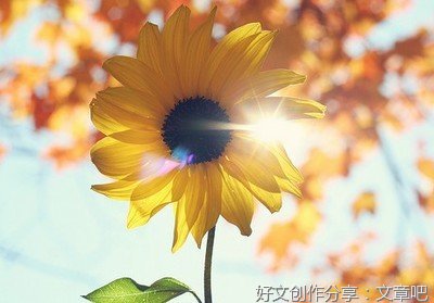 花裳句子
