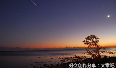 励志优美的句子