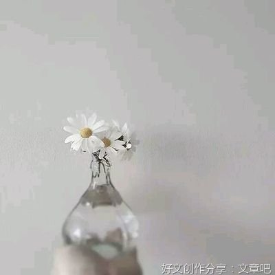 努力，不辜负时光走过的句子