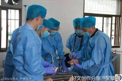 《初入职场的我们 法医季》经典观后感集