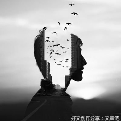 关于道理(┌・。・)┌的优美句子