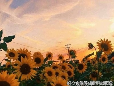 发空间用经典的句子