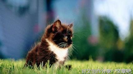 关于贫穷的文字的句子