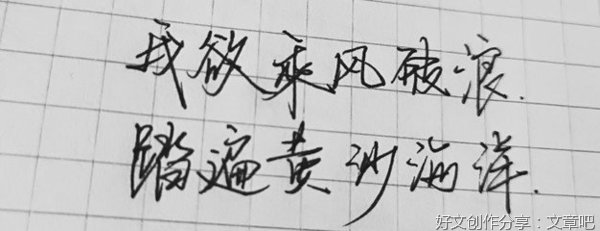 有关每日文素的句子