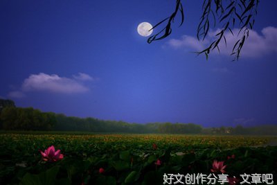 关于我的选择的优美句子