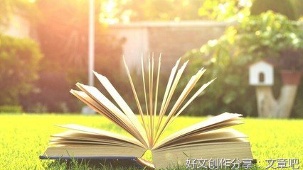 关于好家伙的优美句子