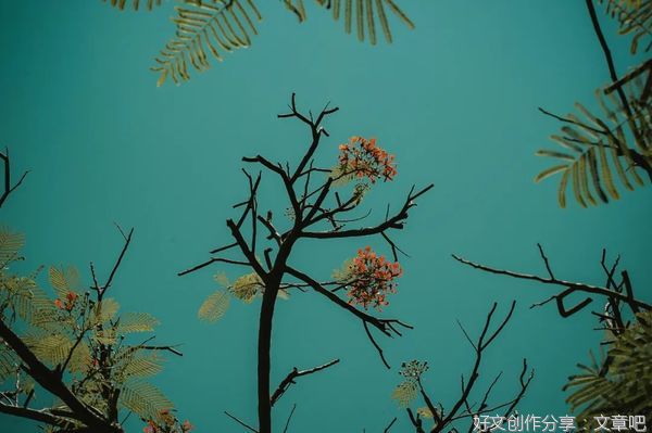 修心（经典好文！）
