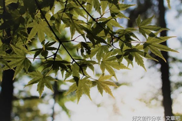 修心（经典好文！）