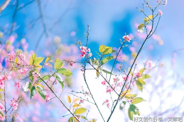 修心（经典好文！）