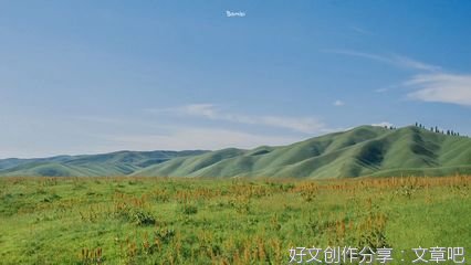 《辛夷坞》的句子