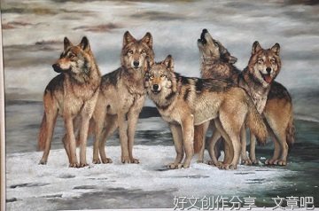 狼图腾句子