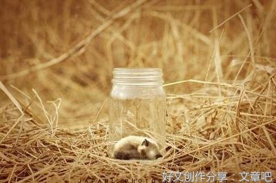 关于1的优美句子