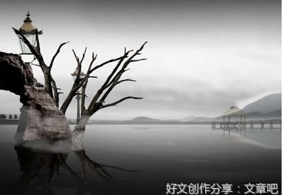 王开岭句子