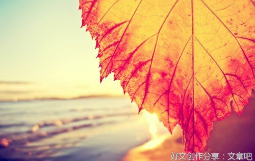 哲理句子