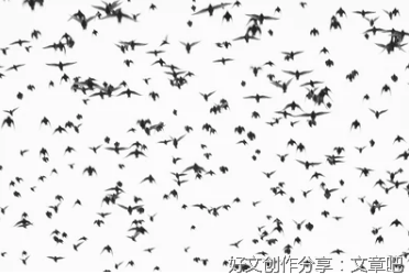 听风句子大全