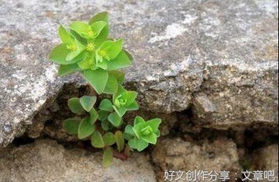《逆境》的句子