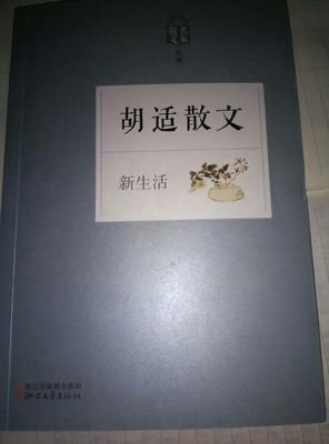 胡适文存读后感100字