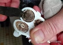 我的手机生病了