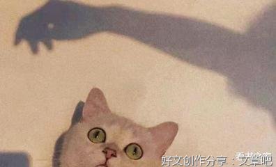 关于( ˘꒳˘ )的句子