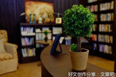 关于周星星的优美句子
