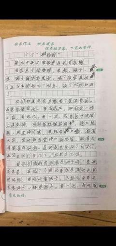《动物世界》优美的句子