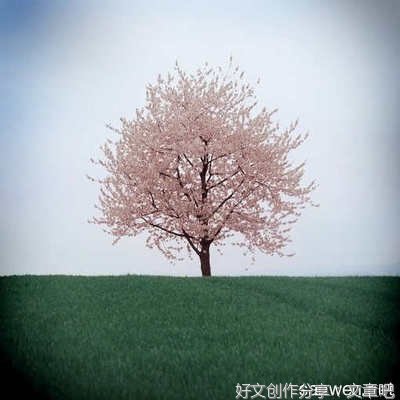 遇见三毛优美的句子