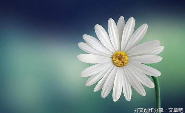 很喜欢句子大全