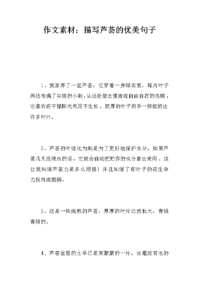 关于作文素材的优美句子