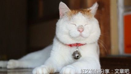 茉好词好句
