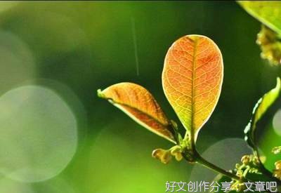 悲伤的优美句子