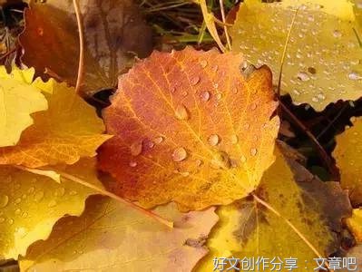 有关美丽的秋天的作文