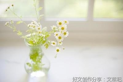 另类哲理的句子