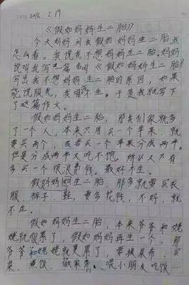 这就是我作文500字