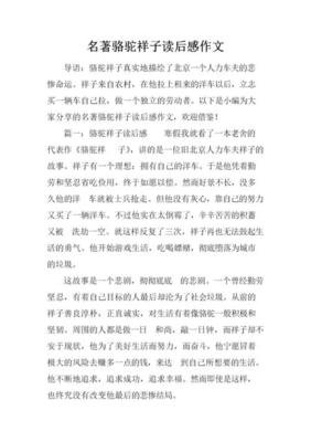 悲剧的诞生的读后感大全